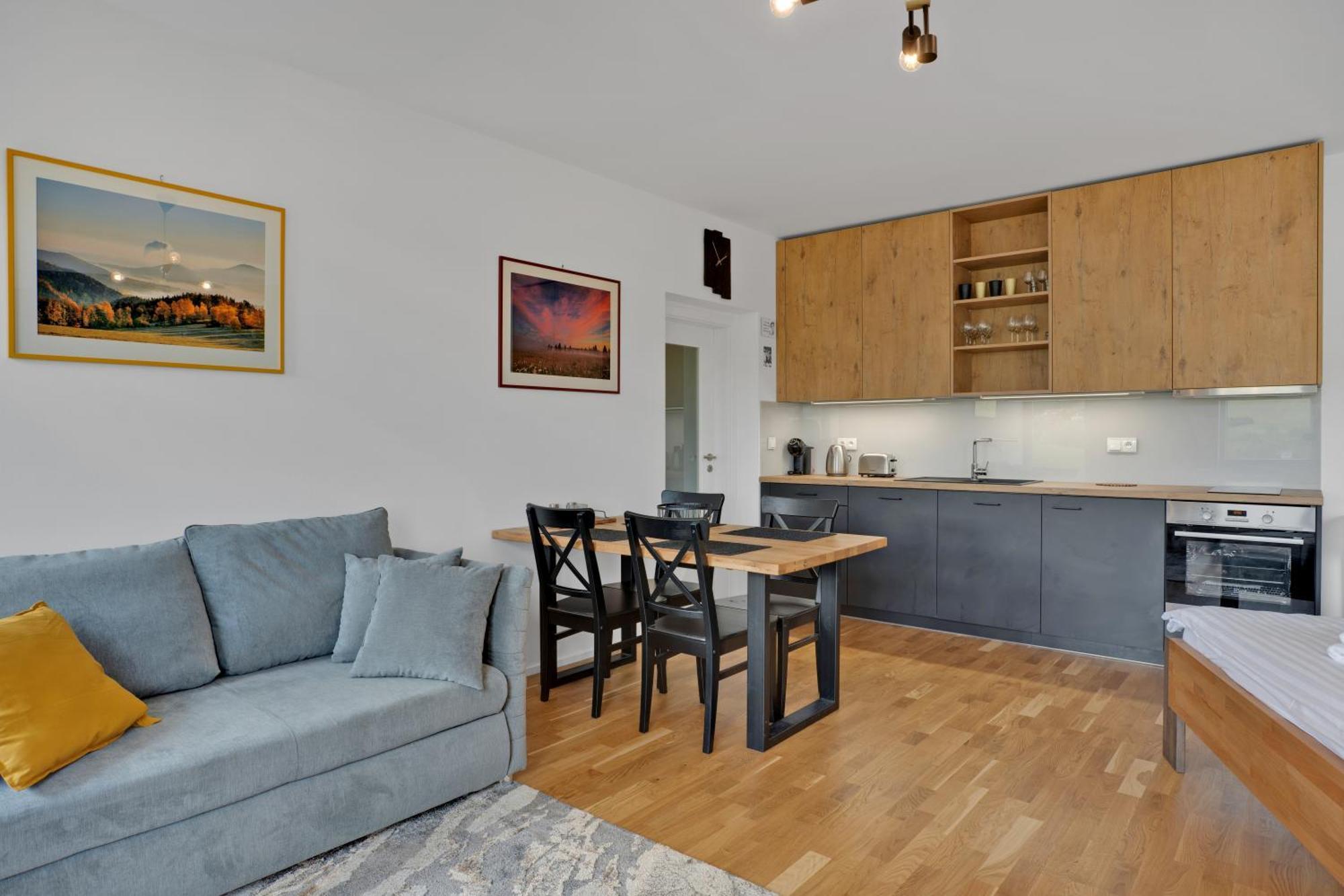 Meadows Apartments Klinovec โลชนา โปด กลิโนฟเซม ภายนอก รูปภาพ